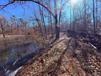 Land For Sale In Ozark Mountains Of Arkansas - image 18