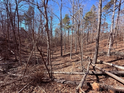 Land For Sale In Ozark Mountains Of Arkansas - image 19