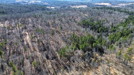 Land For Sale In Ozark Mountains Of Arkansas - image 4