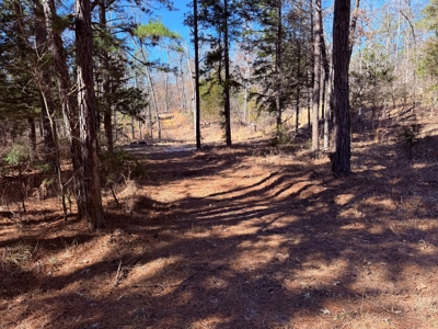 Land For Sale In Ozark Mountains Of Arkansas - image 14