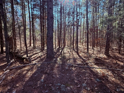 Land For Sale In Ozark Mountains Of Arkansas - image 11