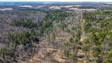 Land For Sale In Ozark Mountains Of Arkansas - image 3