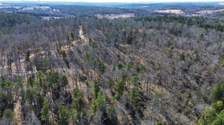 Land For Sale In Ozark Mountains Of Arkansas - image 7