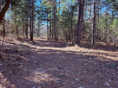 Land For Sale In Ozark Mountains Of Arkansas - image 8