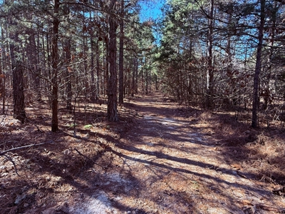 Land For Sale In Ozark Mountains Of Arkansas - image 12