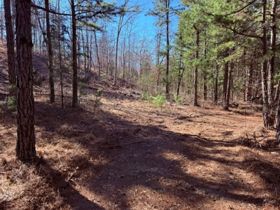 Land For Sale In Ozark Mountains Of Arkansas - image 9