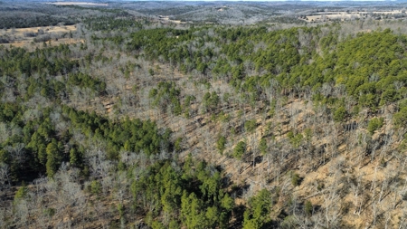 Land For Sale In Ozark Mountains Of Arkansas - image 2