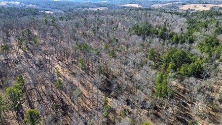 Land For Sale In Ozark Mountains Of Arkansas - image 6