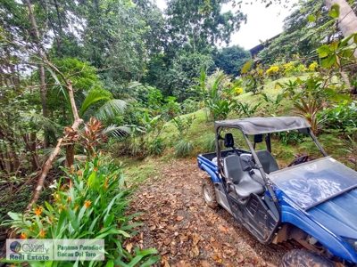Dolphin Bay Home, Bocas del Toro, Panama - image 24