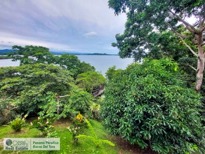 Dolphin Bay Home, Bocas del Toro, Panama - image 13