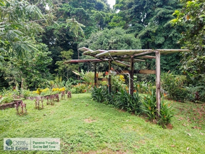 Dolphin Bay Home, Bocas del Toro, Panama - image 19