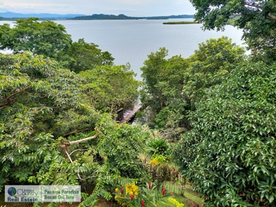 Dolphin Bay Home, Bocas del Toro, Panama - image 16