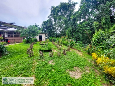 Dolphin Bay Home, Bocas del Toro, Panama - image 20