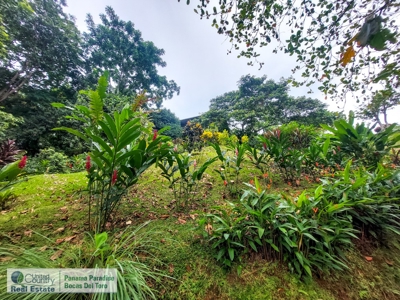 Dolphin Bay Home, Bocas del Toro, Panama - image 23