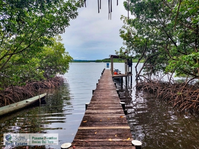 Dolphin Bay Home, Bocas del Toro, Panama - image 25