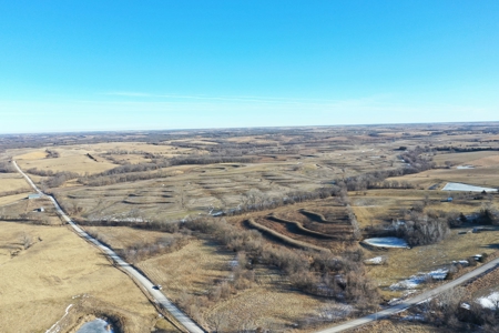 631-Acre Income-Producing Farm with CRP & Hunting – Near Albany - image 2