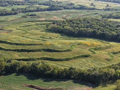 631-Acre Income-Producing Farm with CRP & Hunting – Near Albany - image 19