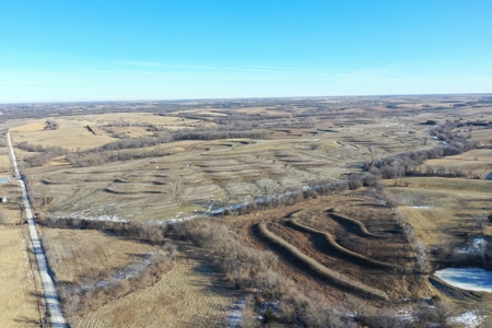631-Acre Income-Producing Farm with CRP & Hunting – Near Albany - image 3