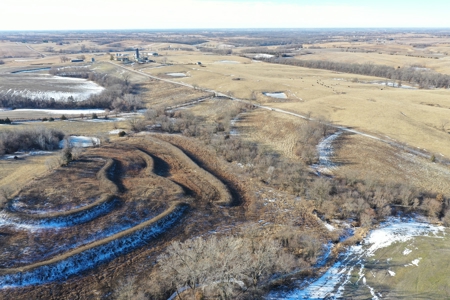 631-Acre Income-Producing Farm with CRP & Hunting – Near Albany - image 10
