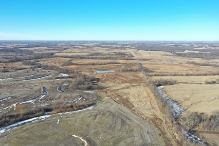 631-Acre Income-Producing Farm with CRP & Hunting – Near Albany - image 29