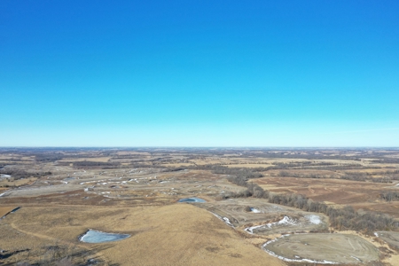 631-Acre Income-Producing Farm with CRP & Hunting – Near Albany - image 12