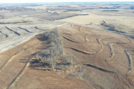 631-Acre Income-Producing Farm with CRP & Hunting – Near Albany - image 24