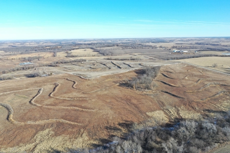 631-Acre Income-Producing Farm with CRP & Hunting – Near Albany - image 20