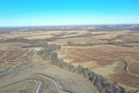 631-Acre Income-Producing Farm with CRP & Hunting – Near Albany - image 19