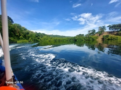 Lots for Sale in New Off-Grid Community, Bocas del Toro - image 5