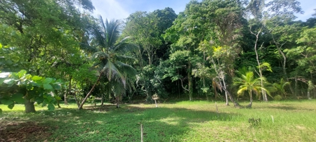 Lots for Sale in New Off-Grid Community, Bocas del Toro - image 6