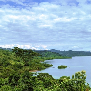 Lots for Sale in New Off-Grid Community, Bocas del Toro - image 19