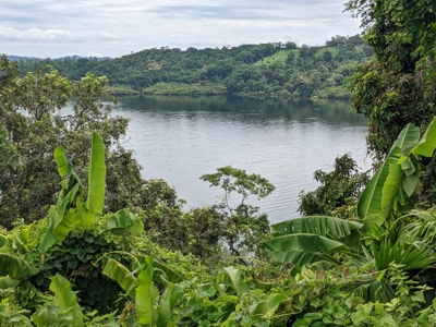 Lots for Sale in New Off-Grid Community, Bocas del Toro - image 20