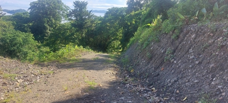 Lots for Sale in New Off-Grid Community, Bocas del Toro - image 11