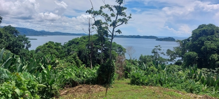 Lots for Sale in New Off-Grid Community, Bocas del Toro - image 14