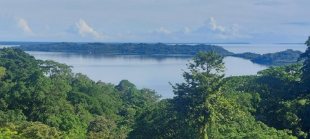 Lots for Sale in New Off-Grid Community, Bocas del Toro - image 15