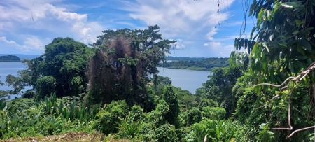Lots for Sale in New Off-Grid Community, Bocas del Toro - image 13
