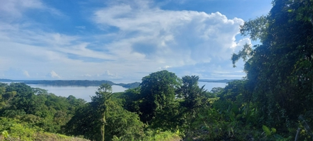 Lots for Sale in New Off-Grid Community, Bocas del Toro - image 17