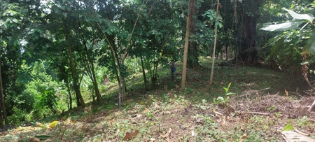 Lots for Sale in New Off-Grid Community, Bocas del Toro - image 16