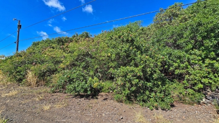 Wooded lot with possible ocean views on Big Island Hawaii - image 2