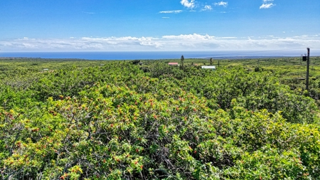 Wooded lot with possible ocean views on Big Island Hawaii - image 5