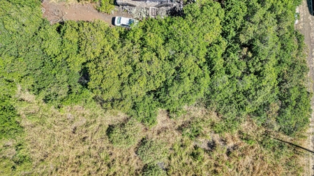 Wooded lot with possible ocean views on Big Island Hawaii - image 4