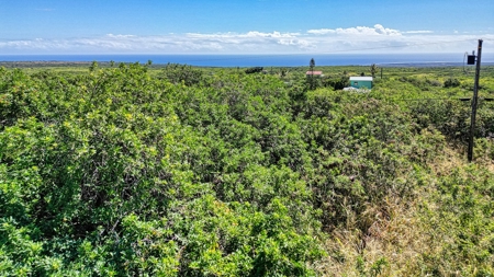 Wooded lot with possible ocean views on Big Island Hawaii - image 7