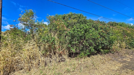 Wooded lot with possible ocean views on Big Island Hawaii - image 1