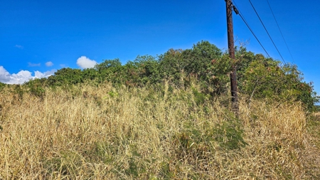 Wooded lot with possible ocean views on Big Island Hawaii - image 3