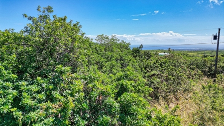 Wooded lot with possible ocean views on Big Island Hawaii - image 8