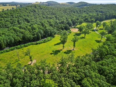 Hunting Property and Home for Sale Southern Missouri Ozarks - image 29