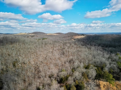 Hunting Property and Home for Sale Southern Missouri Ozarks - image 14