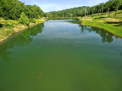 Hunting Property and Home for Sale Southern Missouri Ozarks - image 31