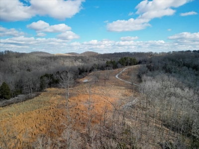 Hunting Property and Home for Sale Southern Missouri Ozarks - image 11