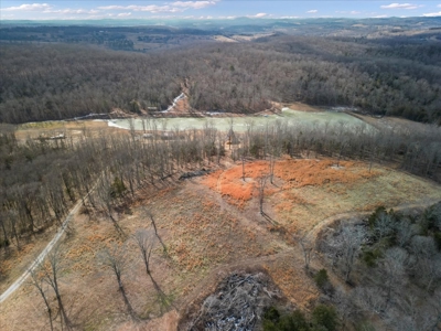 Hunting Property and Home for Sale Southern Missouri Ozarks - image 16